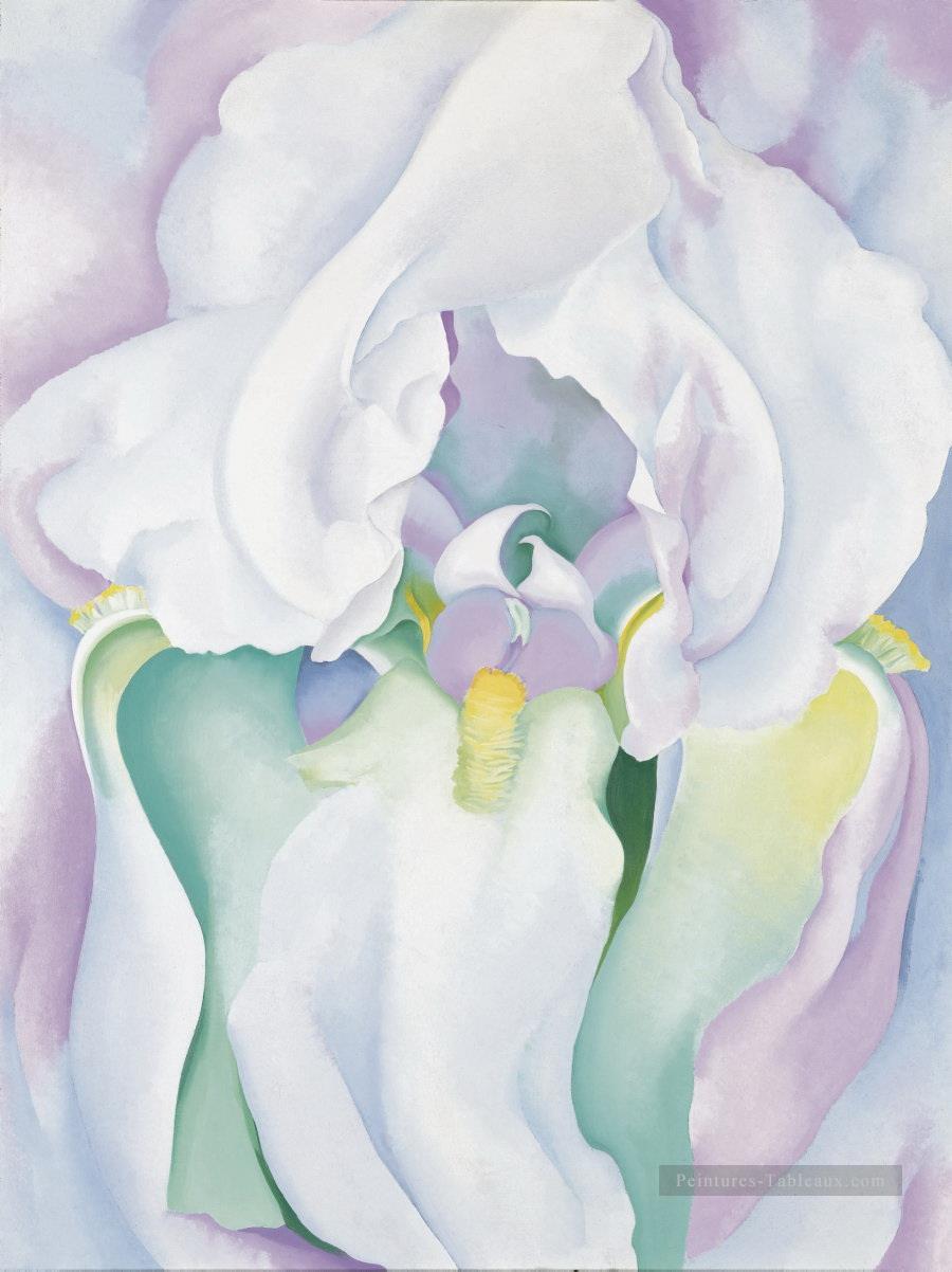 White Iris Georgia Okeeffe modernisme américain Precisionism Peintures à l'huile
